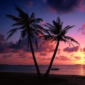 Meet your Posher, Paule